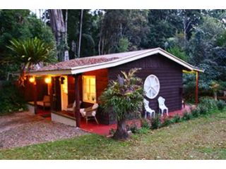 Curtis Cottage Guest house, Mount Tamborine - 2