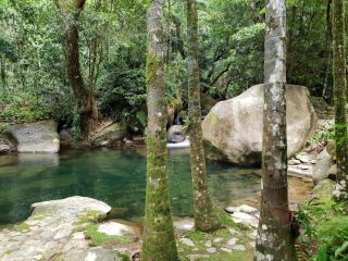 Daintree Secrets Rainforest Sanctuary Guest house, Diwan - 5