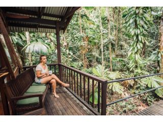 Daintree Wilderness Lodge Hotel, Daintree - 1