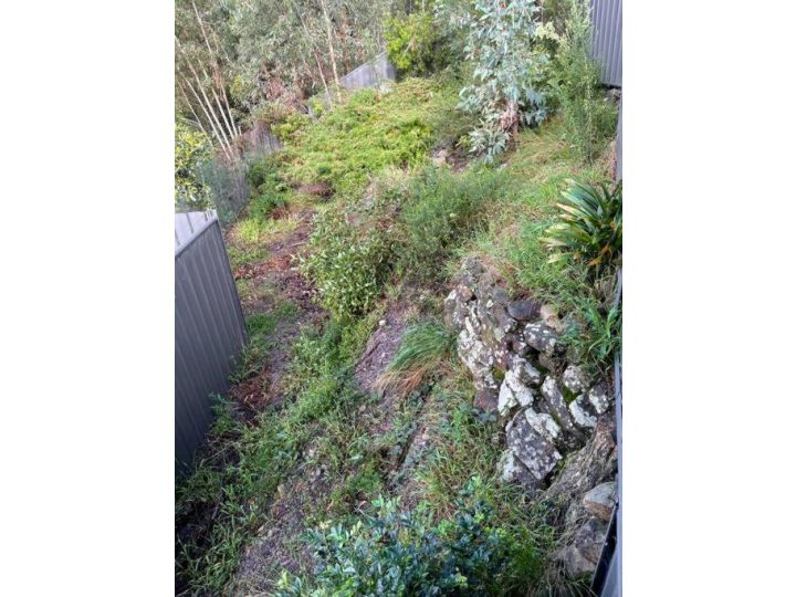 Eagles Ridge escarpment escape Guest house, New South Wales - imaginea 20