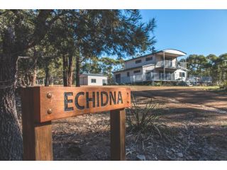 Echidna on Bruny Guest house, Bruny Island - 4