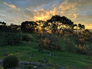 El Camino country cottage with terrace and stunning views Guest house, Hepburn Springs - 5