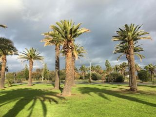 Elwood by the Beach Apartment, Melbourne - 1