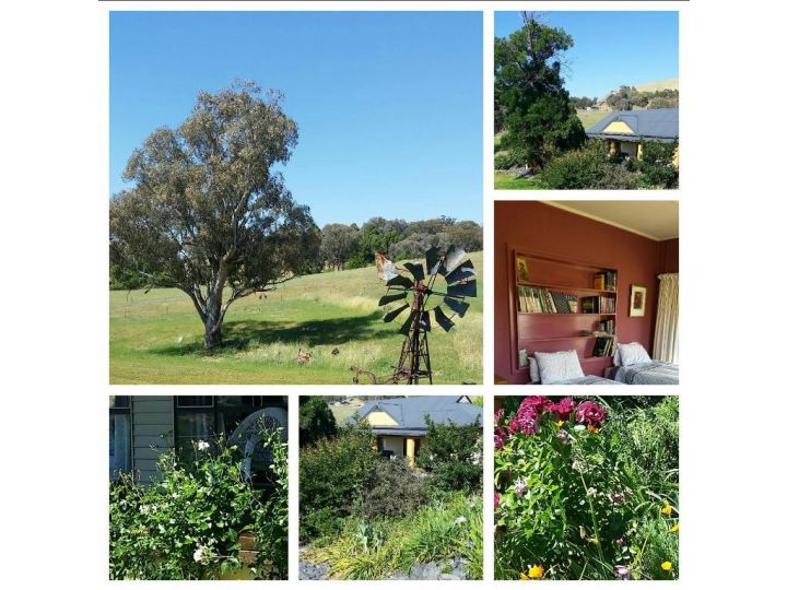 Geralda Cottages Jugiong NSW Guest house, New South Wales - imaginea 12