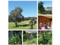 Geralda Cottages Jugiong NSW Guest house, New South Wales - thumb 12