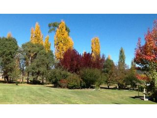 Glen Waverly Farmstay Farm stay, Glen Innes - 3