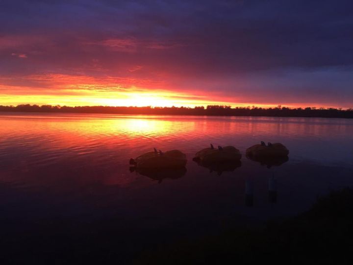 Glenrowan Erowal Bay Guest house, Erowal Bay - imaginea 14