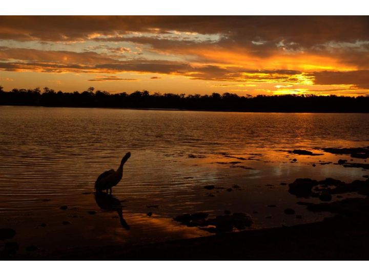 Glenrowan Erowal Bay Guest house, Erowal Bay - imaginea 11