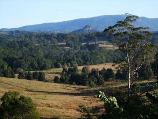 Grey Gum Lodge Guest house, New South Wales - 2