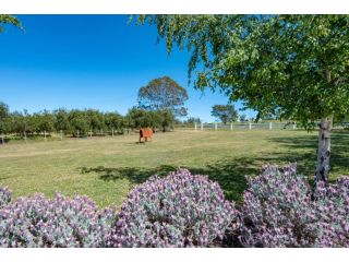 Hazelcreek Cottages Villa, Tasmania - 4