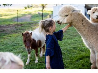 HG Farmstay Silver Gum Lodge Guest house, Victoria - 5