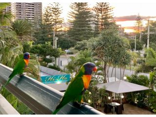 Hi Ho Beach Apartments on Broadbeach Aparthotel, Gold Coast - 1