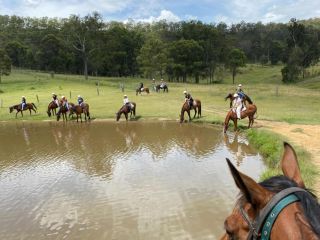 Mums Farm stay villas Apartment, Lovedale - 4