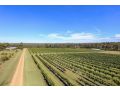 Hunter Valley Vineyard Large Family Farm Houses - Ironstone Estate Lovedale Guest house, Lovedale - thumb 19