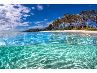 Jervis Bay Motel Hotel, Huskisson - 1