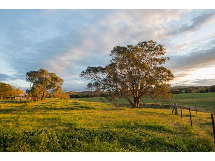 Beaudesert Mudgee - Kanimbla Guesthouse & Beaudesert Cottage Guest house, Mudgee - imaginea 19