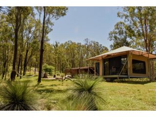 Ketchup's Bank Glamping Campsite, Boonah - 3