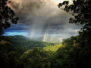 The Den of the Treehouse, KINABALU Farm Guest house, New South Wales - 1