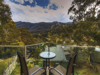 Lantern 1 Bedroom Balcony with mountain View Apartment, Thredbo - 5