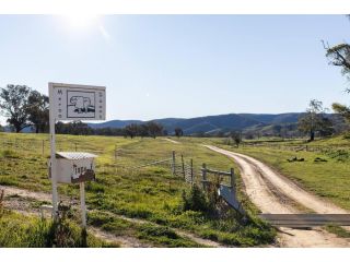 Reset your Senses in Meroo at Lone Pine Farmhouse Farm stay, New South Wales - 5