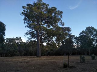 Margaret House Apartment, Margaret River Town - 1