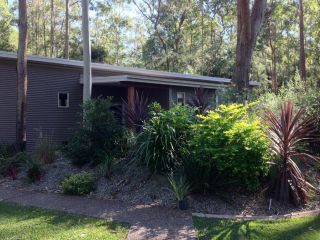 Mistinthegumtrees Eco Luxury Cabins Hotel, New South Wales - 1