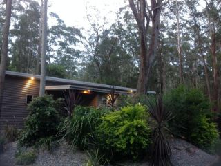 Mistinthegumtrees Eco Luxury Cabins Hotel, New South Wales - 5