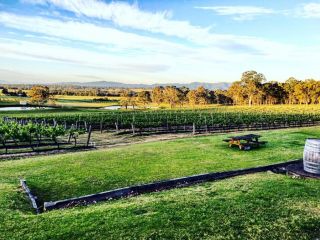 Molly Morgan Vineyard Guest house, Rothbury - 3