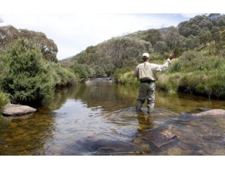 Mowamba D4 Chalet, Thredbo - 3