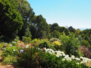 Murrindindi Bed and breakfast, Victoria - 2