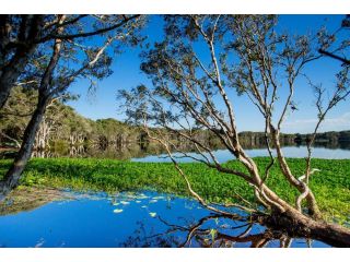 Reflections Holiday Parks Lennox Head Accomodation, Lennox Head - 5