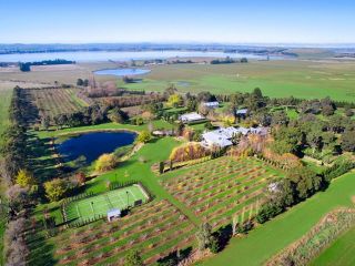 Orchards at Spring Vale Farm Guest house, Victoria - 2