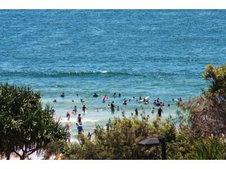 Pacific Towers Unit 4, 19 Ormonde Tce Kings Beach Apartment, Caloundra - 2