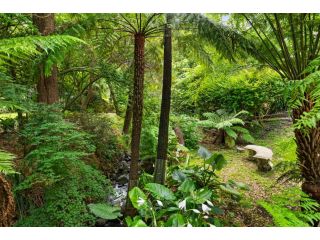 Paddys Creek Retreat Guest house, Victoria - 5