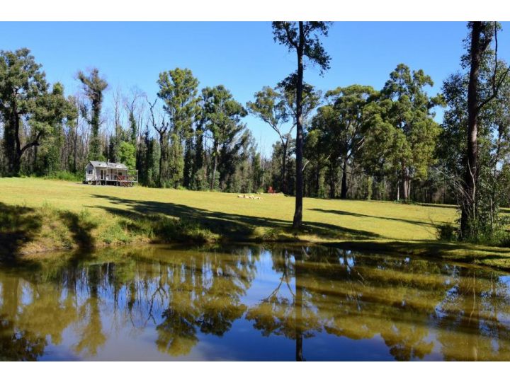 Pindari - Tiny Home Kangaroo Valley Guest house, New South Wales - imaginea 1