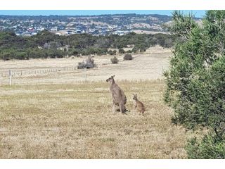 Cascabelbnb Private 2BR apartment Apartment, South Australia - 4