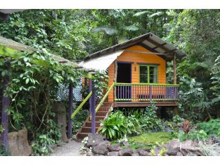 Rainforest Hideaway Hotel, Cape Tribulation - 2