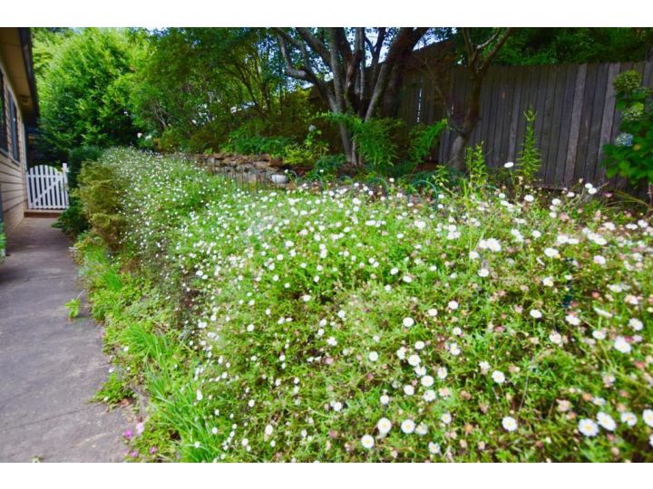 Raspberry Terrace of Leura Guest house, Leura - imaginea 20