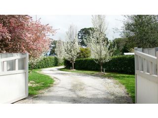 Robin Hill Manor - rambling retreat & tennis court Guest house, Moss Vale - 1