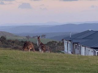 Rooks Edge Bed and breakfast, Gisborne - 2