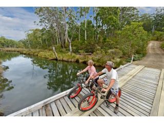 Saintys Creek Cottage Guest house, South Bruny - 4