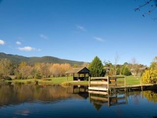 Sanctuary Park Cottages Hotel, Healesville - 2