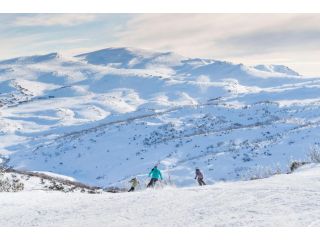 Snowy Studio - Jindabyne Guest house, Jindabyne - 5