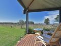 Soldiers Cottage picturebook vineyard home Guest house, New South Wales - thumb 3