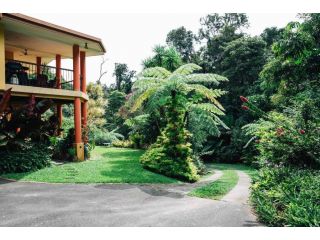 Studio in the Rainforest Apartment, Kuranda - 2