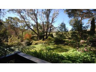 Sublime Cedar Lodge Leura Guest house, Leura - 3