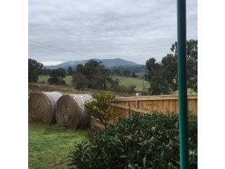 Sunset Cottage - Yarra Valley Guest house, Healesville - 4