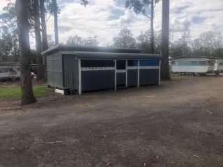 Tall Timbers Caravan Park Kempsey Campsite, Kempsey - 1