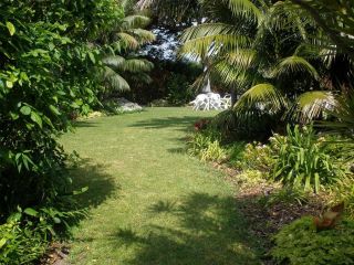 The Broken Banyan Apartment, Lord Howe Island - 5