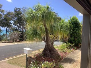 Studio Apartment with Seaview Apartment, Airlie Beach - 5